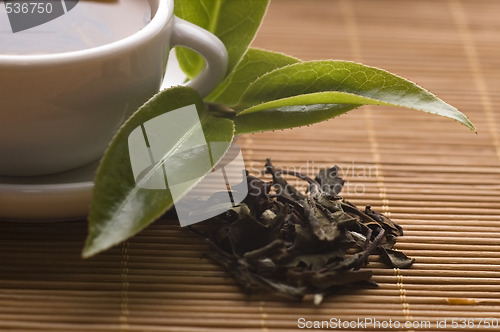 Image of green tea