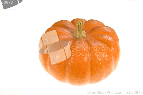 Image of Pumpkin 4
