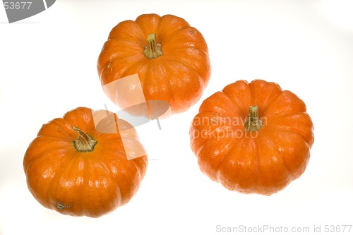 Image of Three Pumpkins
