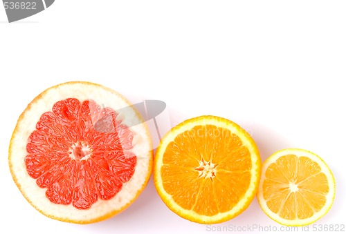 Image of lemon, orange and grapefruit