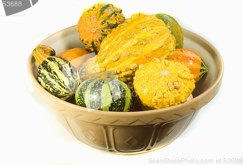 Image of Bowl of Ornamental Squash