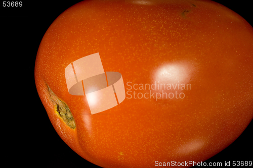 Image of Italian Plum Tomato