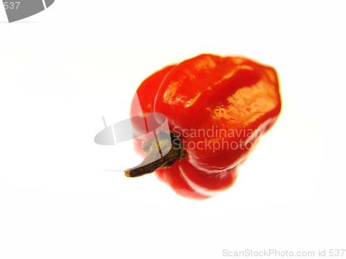 Image of Red Vegetable