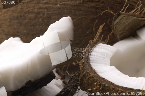 Image of open coconut isolated on the white background 