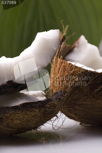 Image of open coconut and resh green leaf