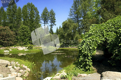 Image of summer landscape. lake