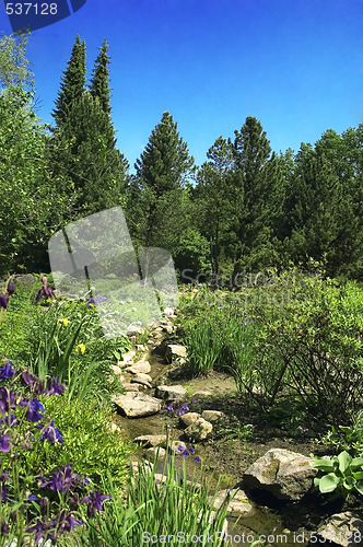 Image of summer landscape. river