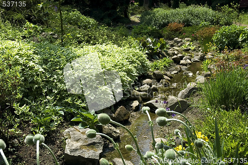 Image of summer scenic. river