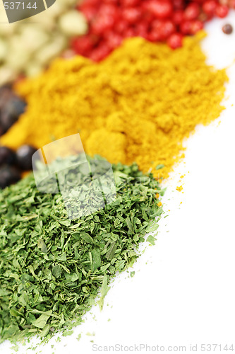 Image of spices
