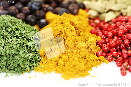 Image of spices