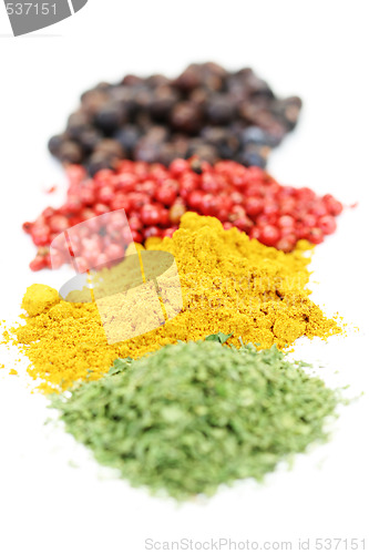 Image of spices