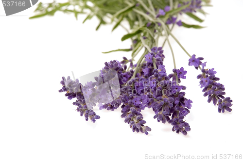 Image of lavender bath