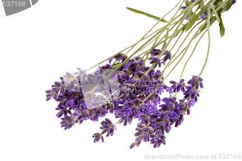 Image of lavender bath