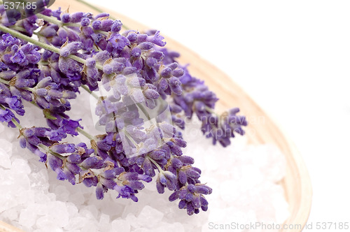 Image of lavender bath