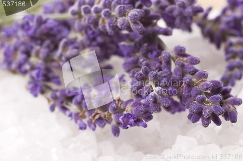 Image of lavender bath