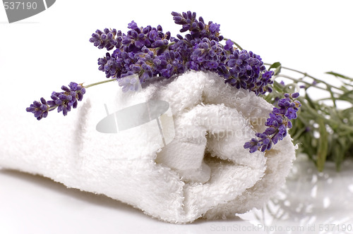 Image of lavender bath