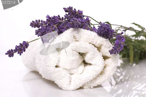 Image of lavender bath