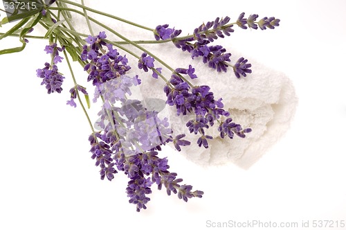 Image of lavender bath