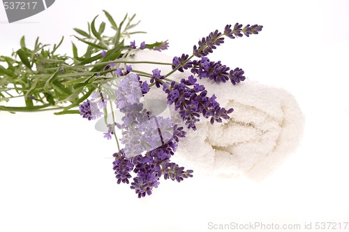 Image of lavender bath