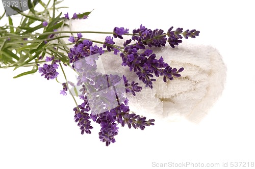 Image of lavender bath