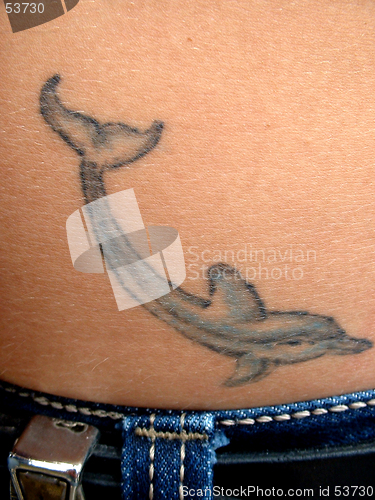 Image of Dolphin Tattoo