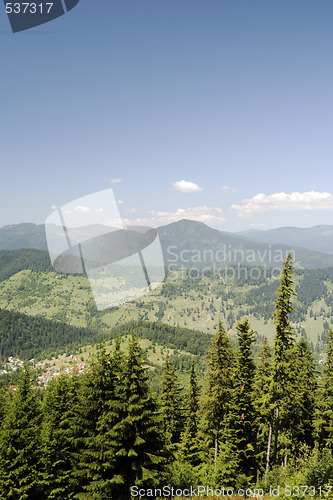 Image of Forest landscape