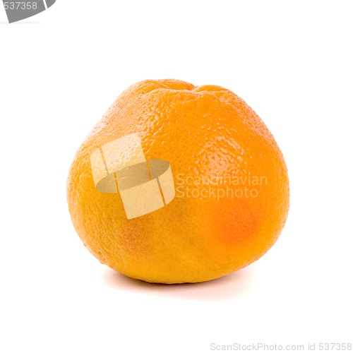 Image of fresh grapefruit