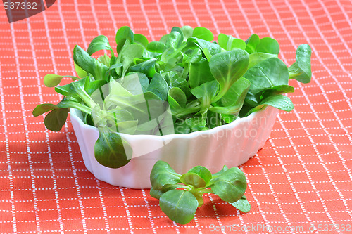 Image of Corn salad