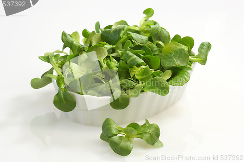 Image of Field salad