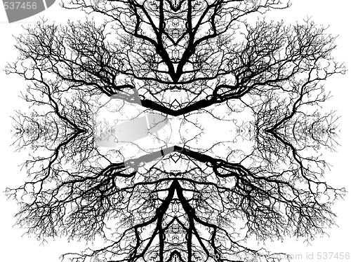 Image of Tree Branch pattern