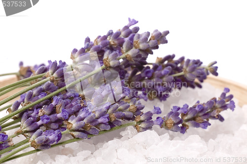 Image of lavender bath