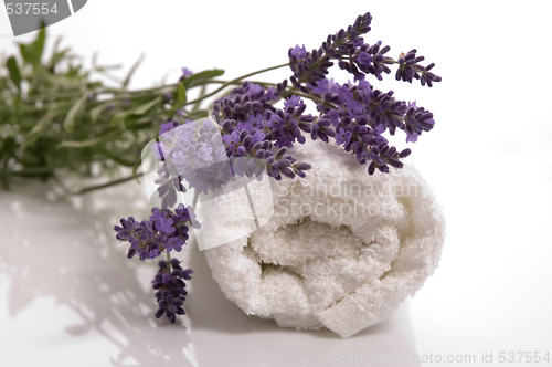 Image of lavender bath