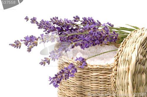 Image of lavender bath