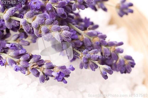 Image of lavender bath