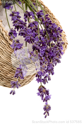 Image of lavender bath