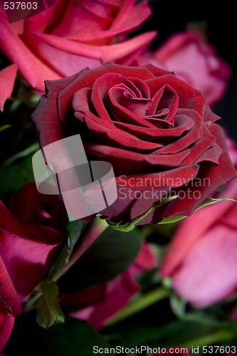 Image of red roses bouquet