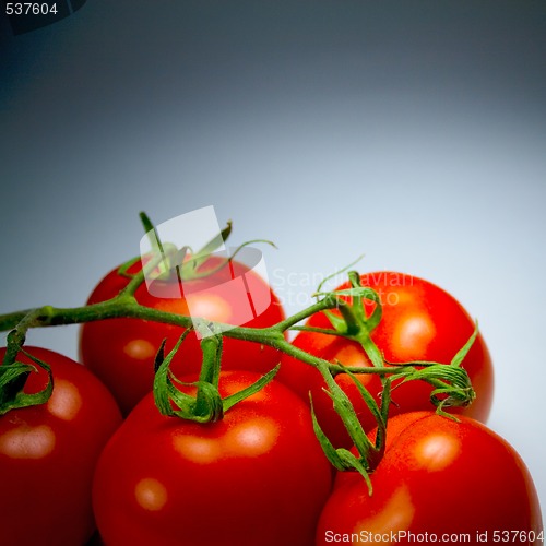 Image of fresh tomatoes