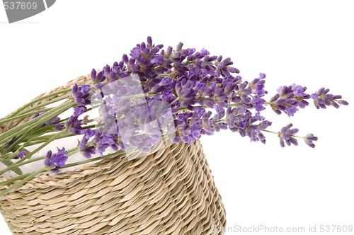 Image of lavender bath