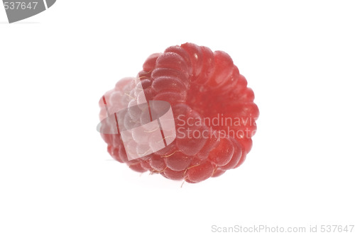 Image of raspberry