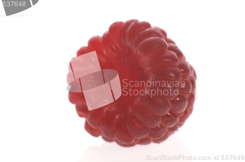 Image of raspberry