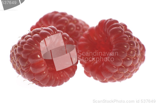 Image of raspberries