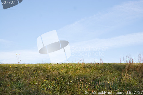 Image of Green Grass and Sky