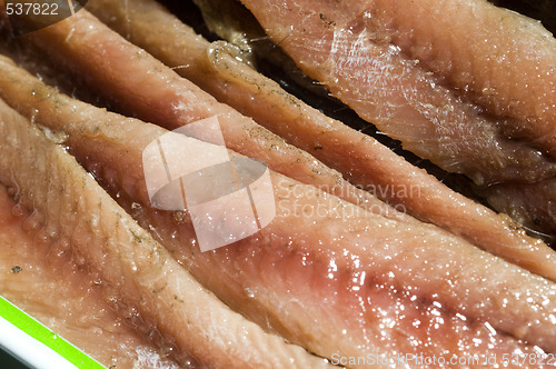 Image of flat fillets of anchovies in can