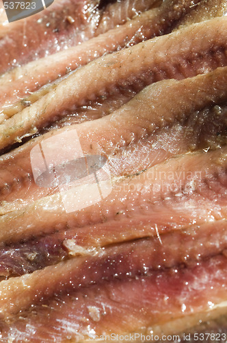 Image of flat fillets of anchovies in can