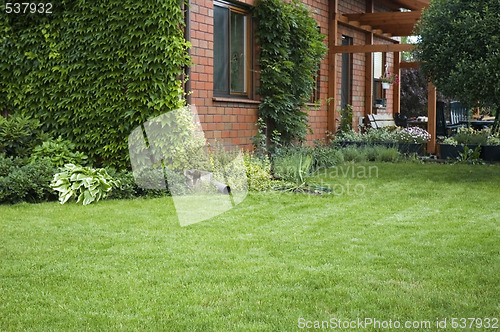 Image of peaceful garden