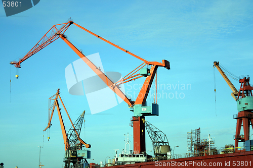 Image of Red Crane