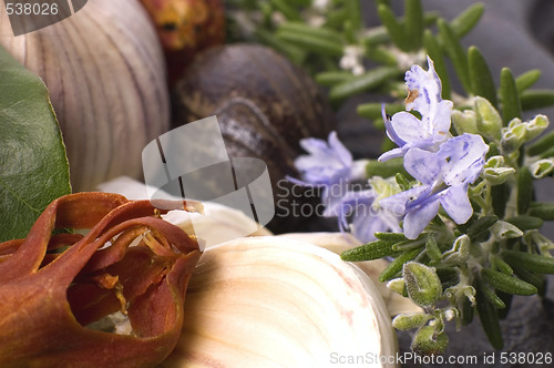 Image of herbs and spices