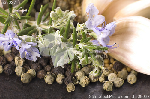 Image of herbs and spices