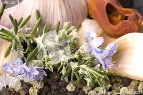 Image of herbs and spices