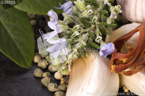 Image of herbs and spices